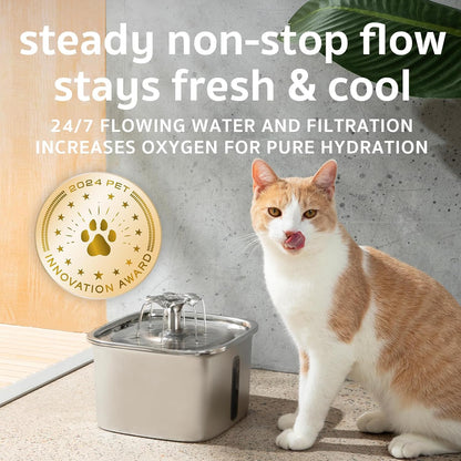 Protect Your Cat from Dehydration, UTIs, and Kidney Issues with Evina