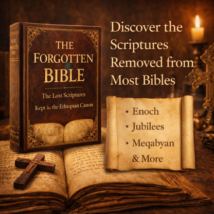 The Forgotten Bible